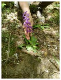 IMG_20170503_124547