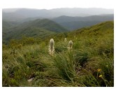 IMG_20170503_160425